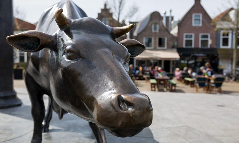 Koemarkt stadswandeling Gilde Purmerend