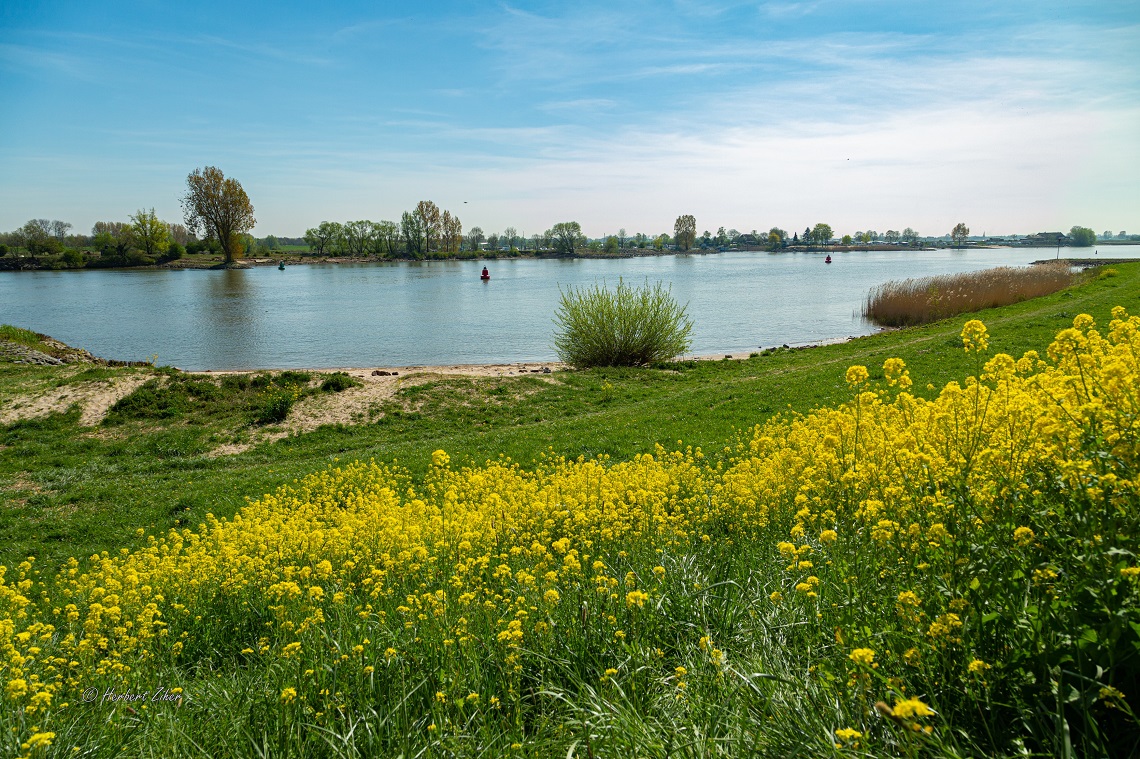 Zomerwandeling Kromme IJssel en Lek (Herbert Ziher)