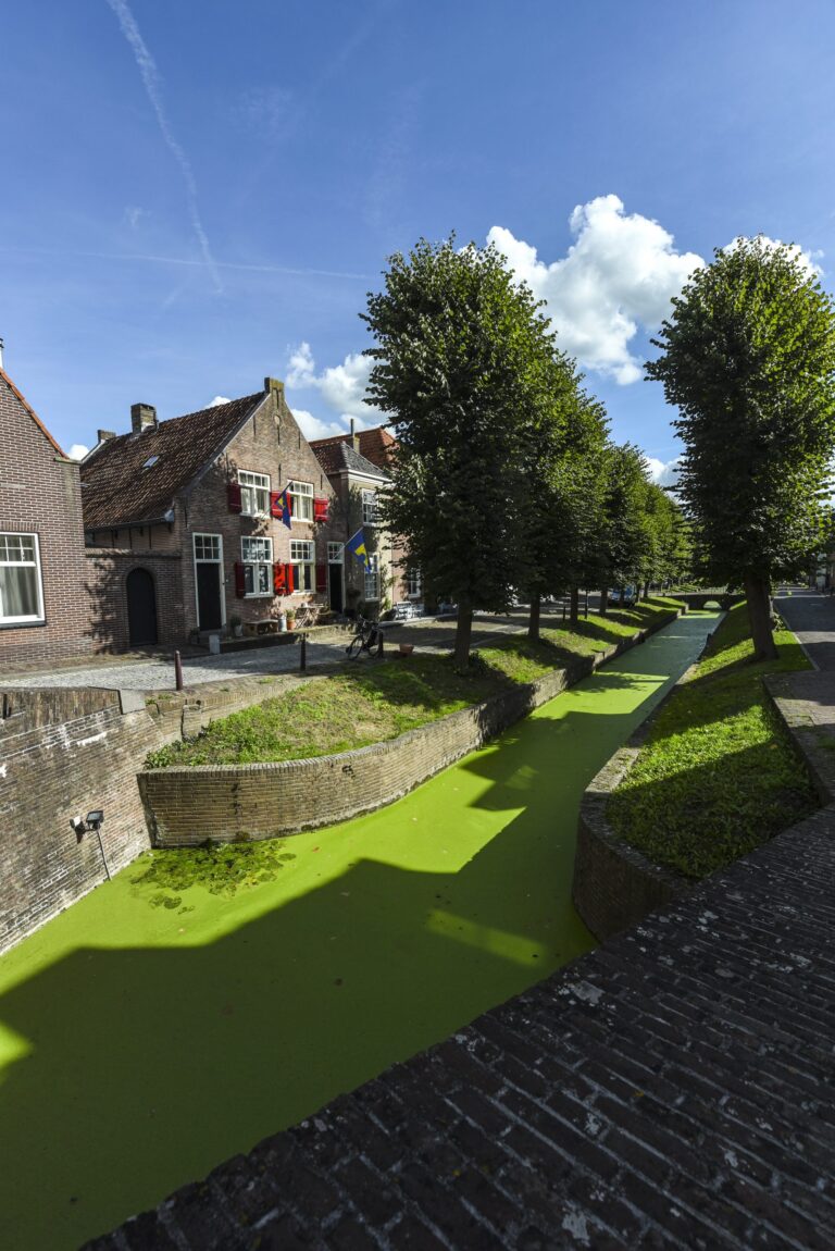Binnen haven
