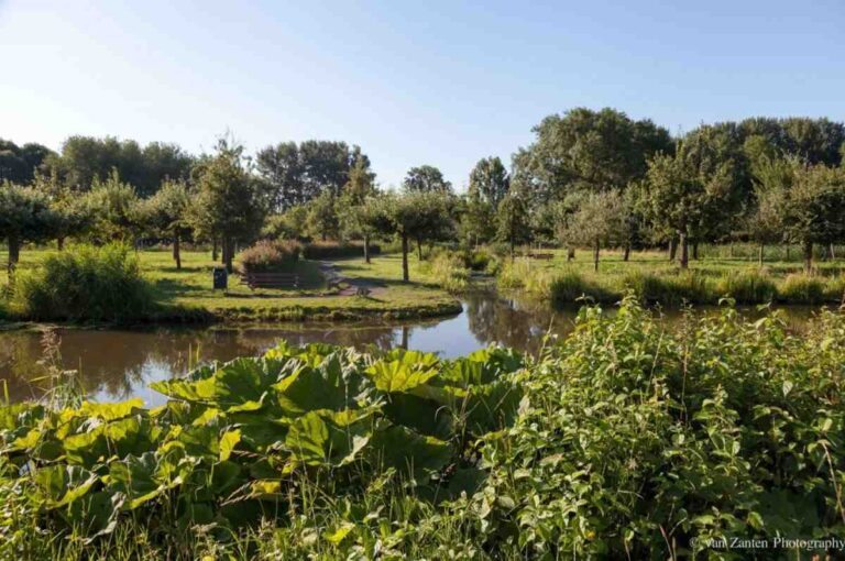 Stadspark