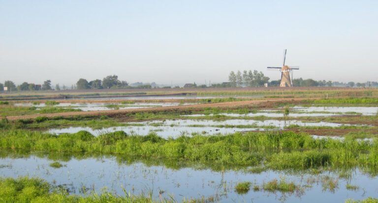 Zuid-Hollands Landschap Hooge boezem